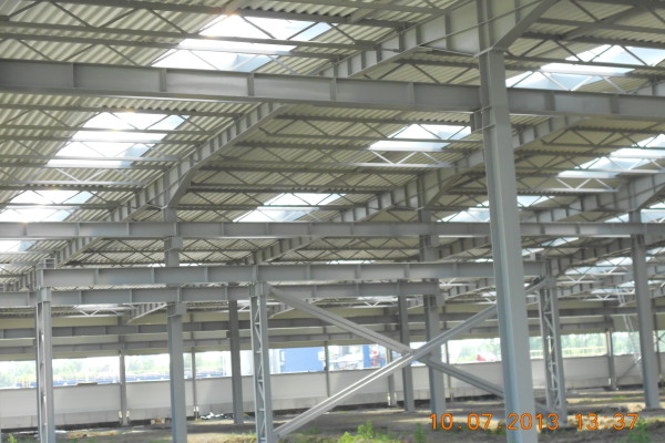 specodlew11